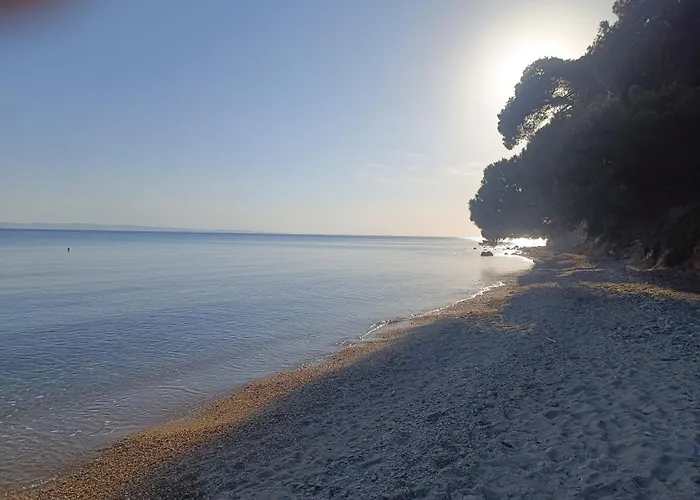 On The Apartamento *